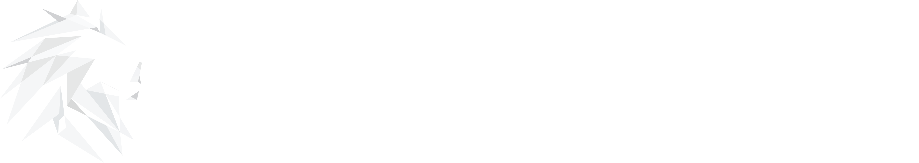 Logo Dutch Height